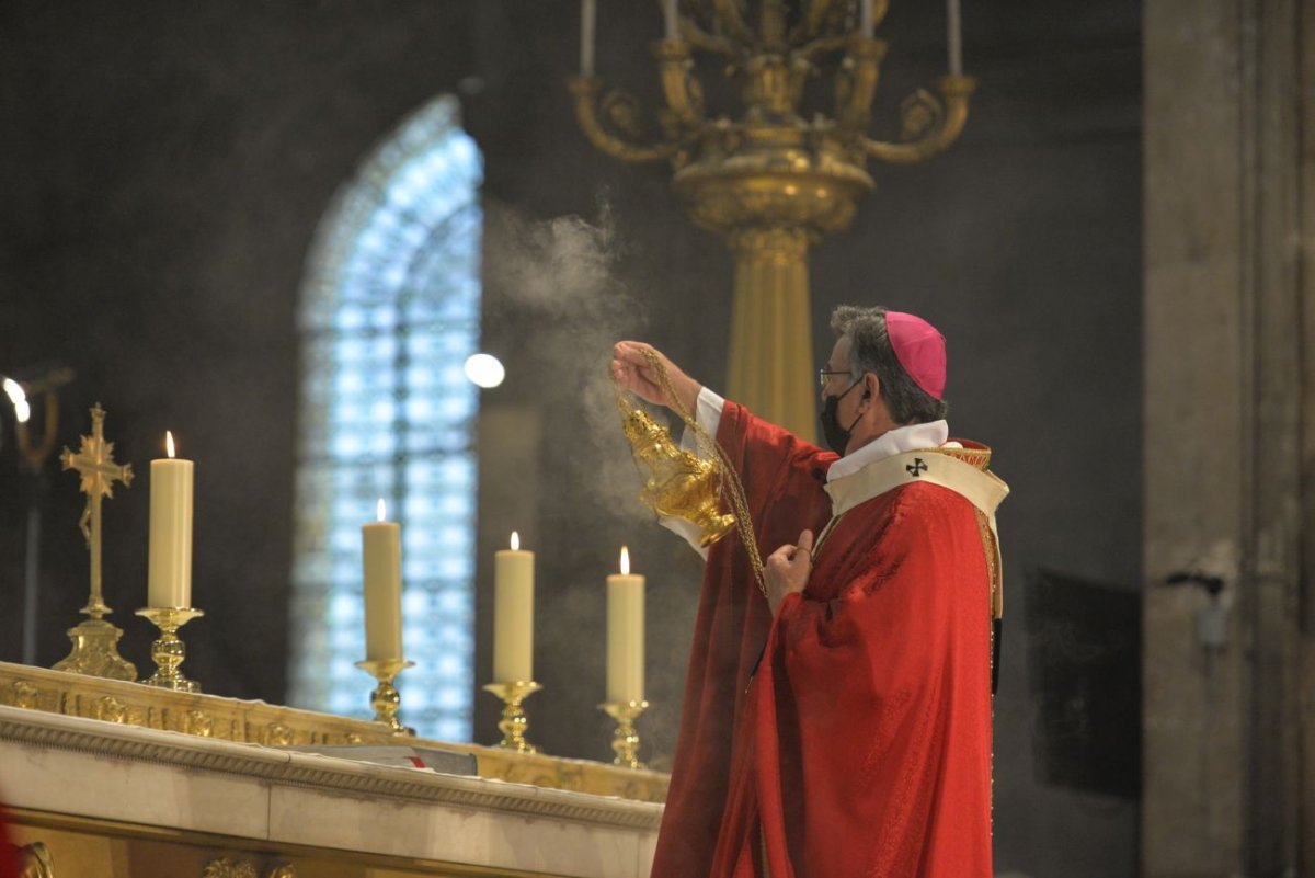 Mgr Michel Aupetit, archevêque de Paris. © Marie-Christine Bertin / Diocèse de Paris.