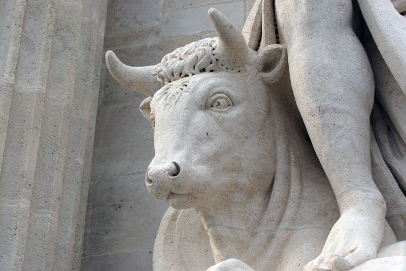 Le taureau (ou bœuf), attribut de l'évangéliste Luc.. Reportage Paris Notre-Dame par Ariane Rollier. Photo de Yannick Boschat. 