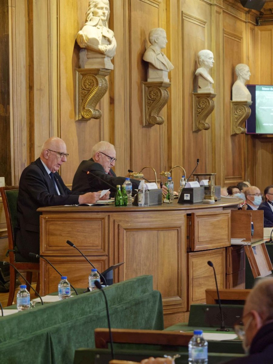 Colloque historique sur Geneviève. 5 novembre 2021, à l'Académie des Inscriptions et Belles Lettres © Yannick Boschat / Diocèse de Paris.
