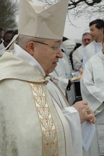 Le cardinal Vingt-Trois avait invité les évêques, prêtres et séminaristes du (…). 