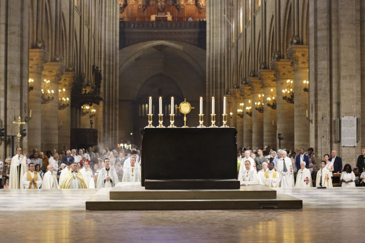 Procession à Notre-Dame de Paris. © Yannick Boschat / Diocèse de Paris.
